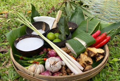 Kochkurs mit Marktbesuch und Bio-Farm (mit veganen/vegetarischen Optionen)