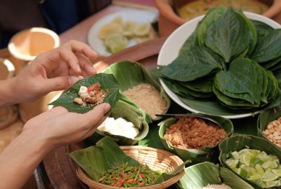 Farm to Table: Cooking at Organic Farm in Chiang Mai Forest