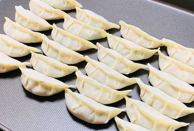 The Art of Making Homemade Japanese Gyoza Class in Nagoya