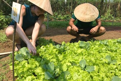 호이안 시골지역의 유기농 농장과 쿠킹클래스 경험(Thanh Dong Organic Farm)