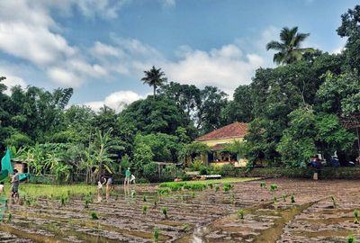 Homestyle Cooking at an Organic Rice Farm in Goa