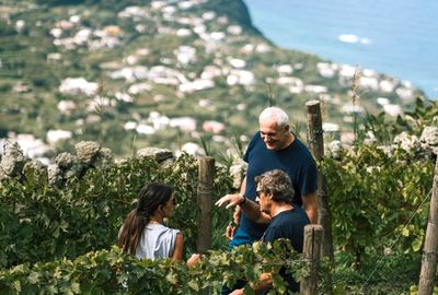 Vineyard Tour and Wine Tasting Experience in Ischia