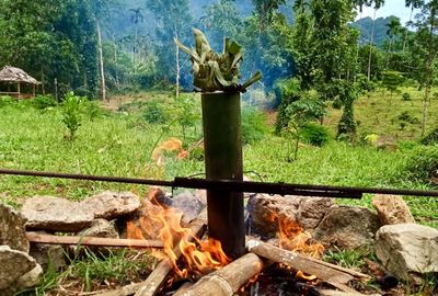 Khao Sok Jungle Cooking