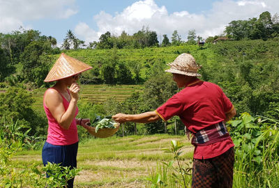 Organic and Authentic Balinese Cooking Class with Trekking in the Rice Terraces