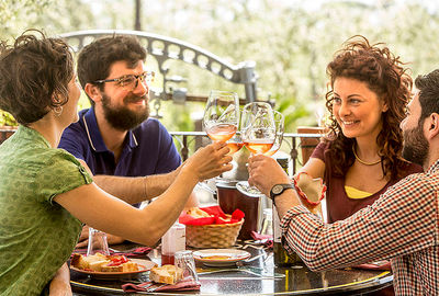 Organic "Classico" Wine Tasting with Lunch on Mount Vesuvius