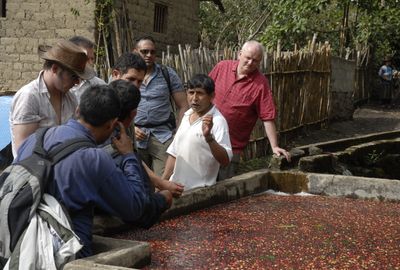 Spend a Day with the Locals at an Organic Coffee Farm