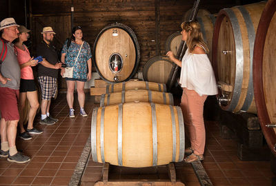 Organic "Superiore" Wine Tasting with Lunch on Vesuvius