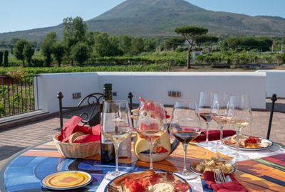 Guided Tour of Vesuvius Wine Tasting with Meal Included