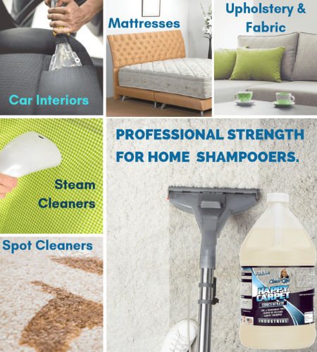 Kirby Professional Strength Carpet Shampoo