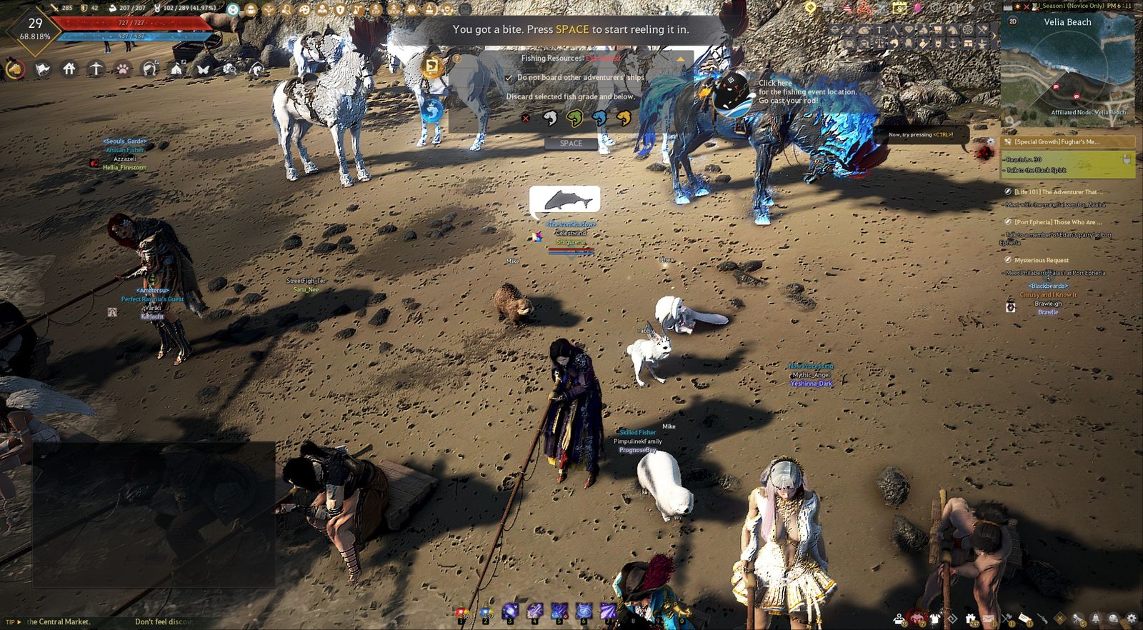 Black Desert Online running on Fedora, a character fishing on a beach with other players and mounts nearby