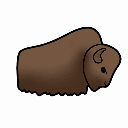 Bison