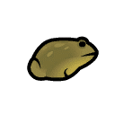 Bullfrog