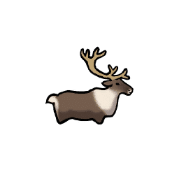 Caribou