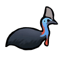 Cassowary