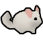 Chinchilla