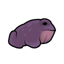 Colossus toad