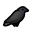 Crow