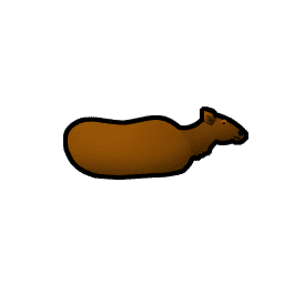 Elk