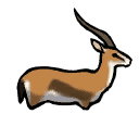 Gazelle