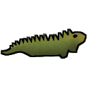 Iguana