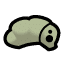 Larva