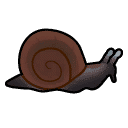 Lava snail