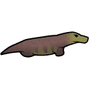 Monitor lizard