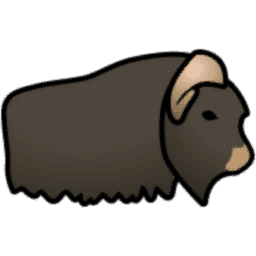 Muskox