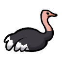 Ostrich