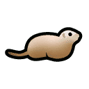 Prairie dog