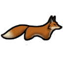 Red fox