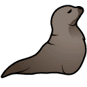 Sea lion
