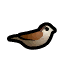 Sparrow