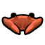 Stone crab