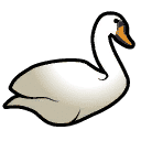 Swan