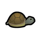 Tortoise