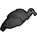 Vulture