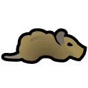 Waste rat