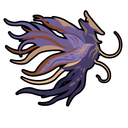 Aurora sylph