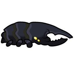 Crepuscular Beetle