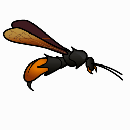 Fire wasp