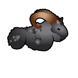 Grey-Coated Mouflon