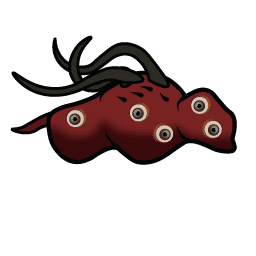 Ocular nightling