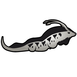 Ray-hound
