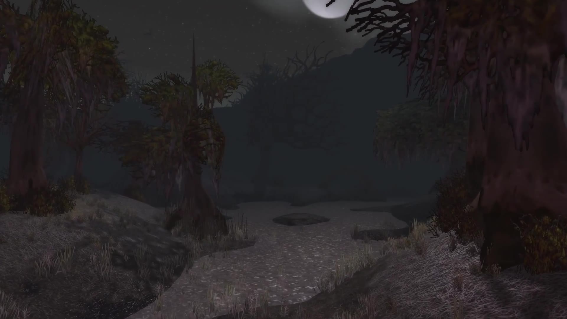 World of Warcraft Classic — Dustwallow Marsh at night