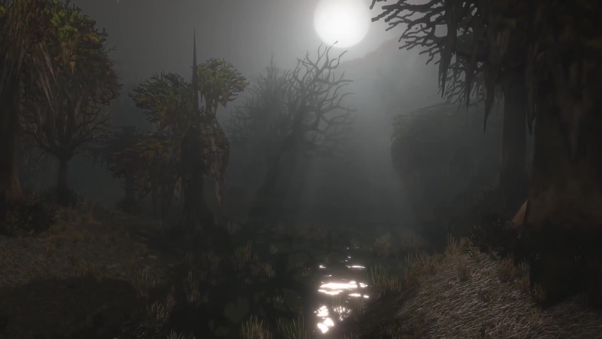 World of Warcraft: Forever — Dustwallow Marsh at night with moonlit volumetric fog