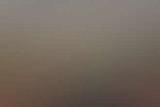 Rajgad Vista Photos 