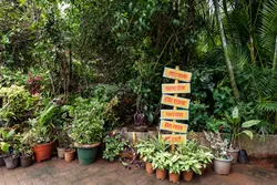Windchime Homestay Photos 