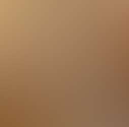 Rajgad Vista Rajgad Vista Photos