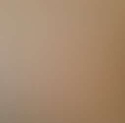 Rajgad Vista Rajgad Vista Photos